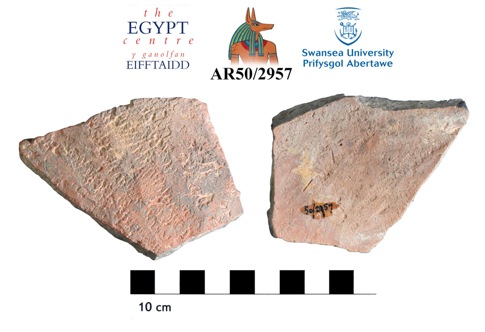Image for: Body sherds of pottery